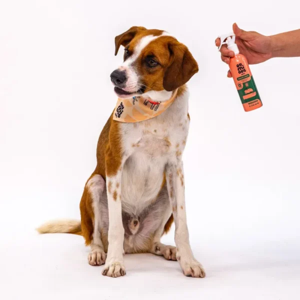 Banho a Seco Au.Migos Pets 240ml