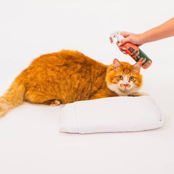 Banho a Seco Au.Migos Pets 240ml