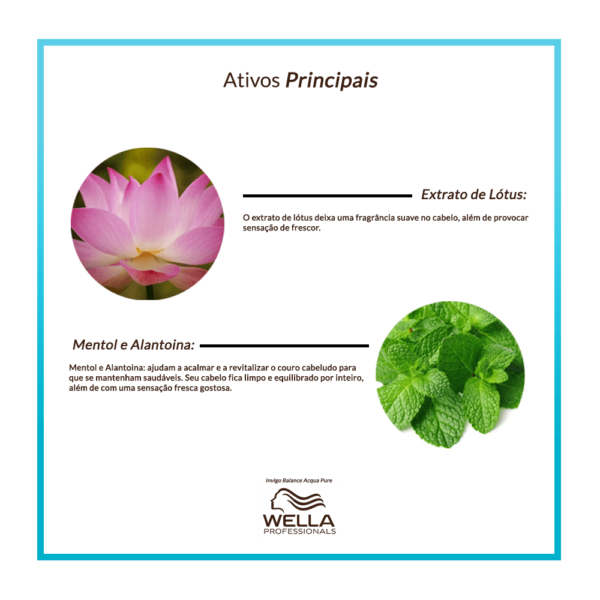 Shampoo Wella Professionals Invigo Balance Aqua Pure 250 ml